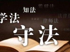 深圳免費法律咨詢指南 專業知識產權、商務糾紛與婚姻家庭關系解析